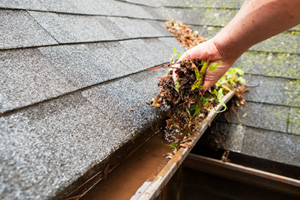 Water Damage
